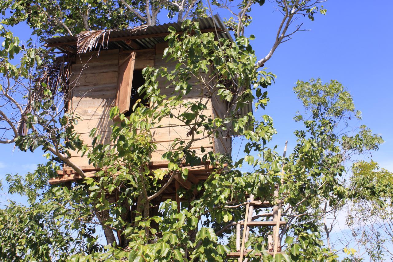 Rumah Pohon Batununggul Екстериор снимка