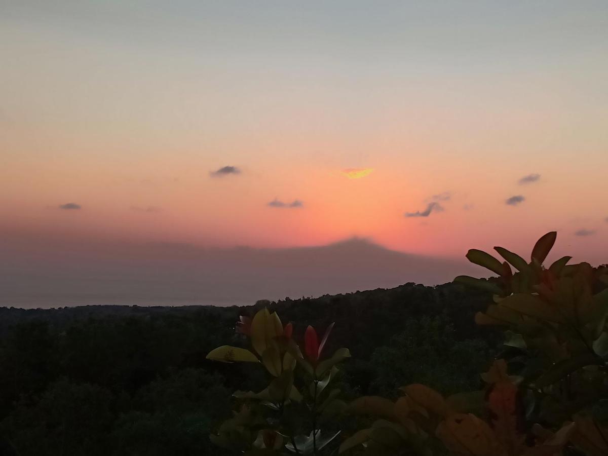 Rumah Pohon Batununggul Екстериор снимка